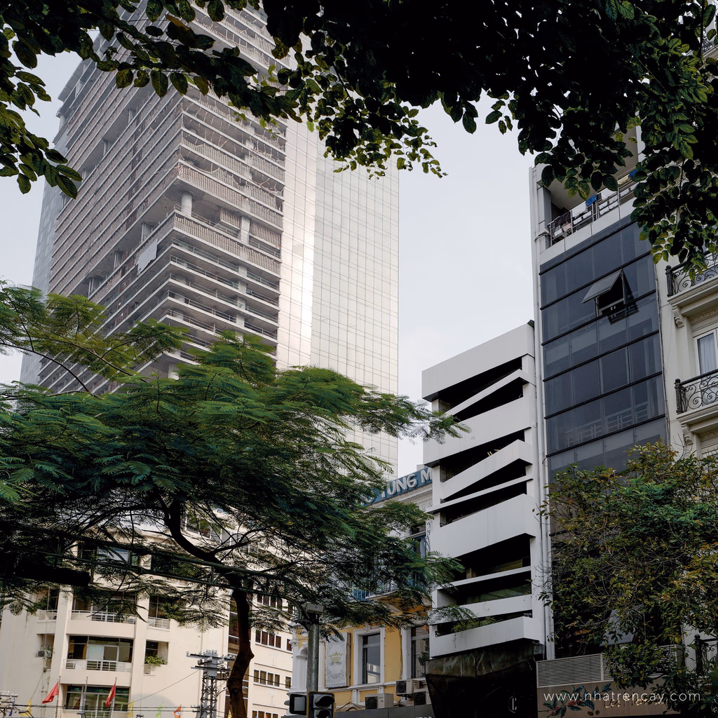Cocosin 1 — image 8