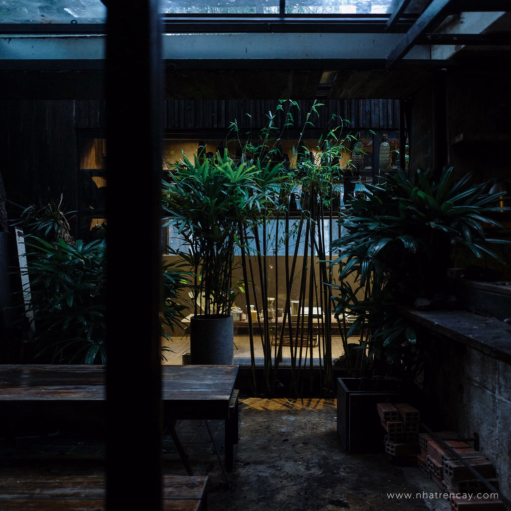 Dream.mo — image 3