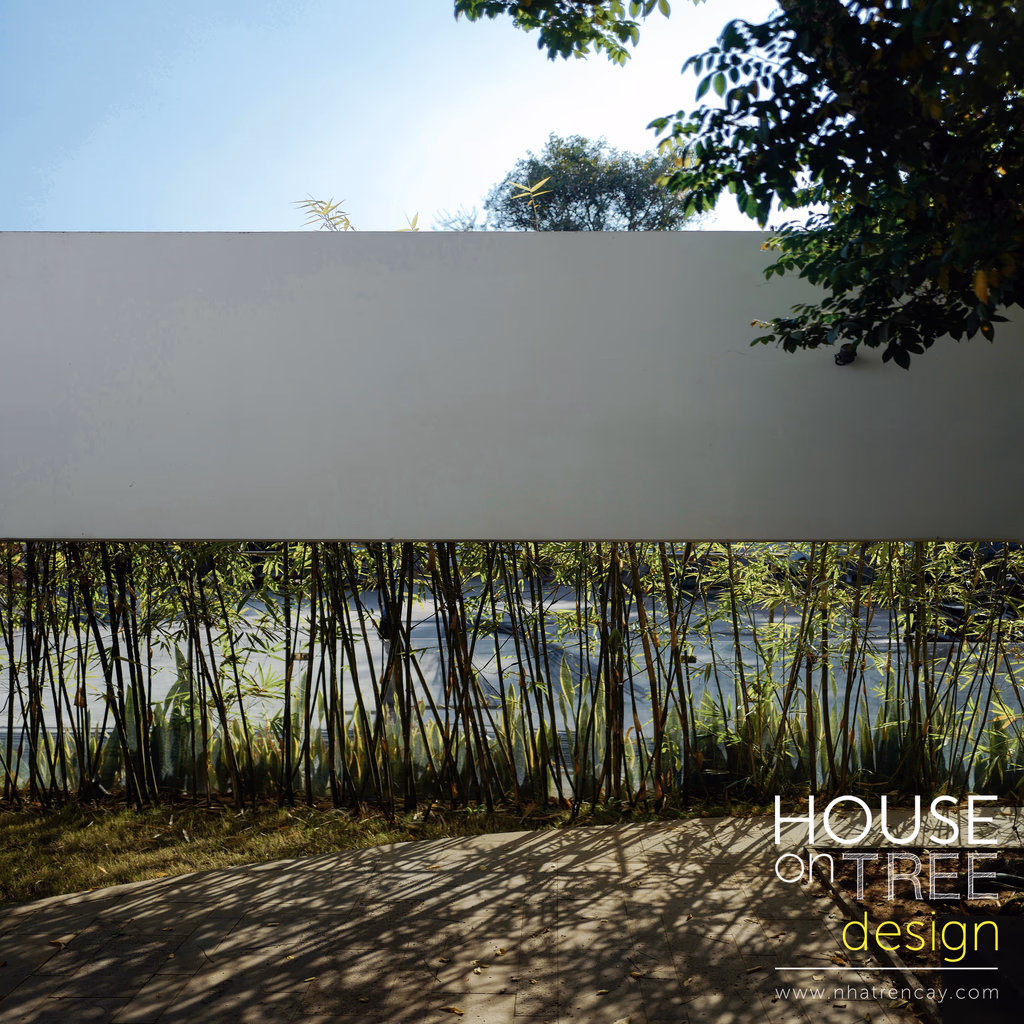 DTH — image 8