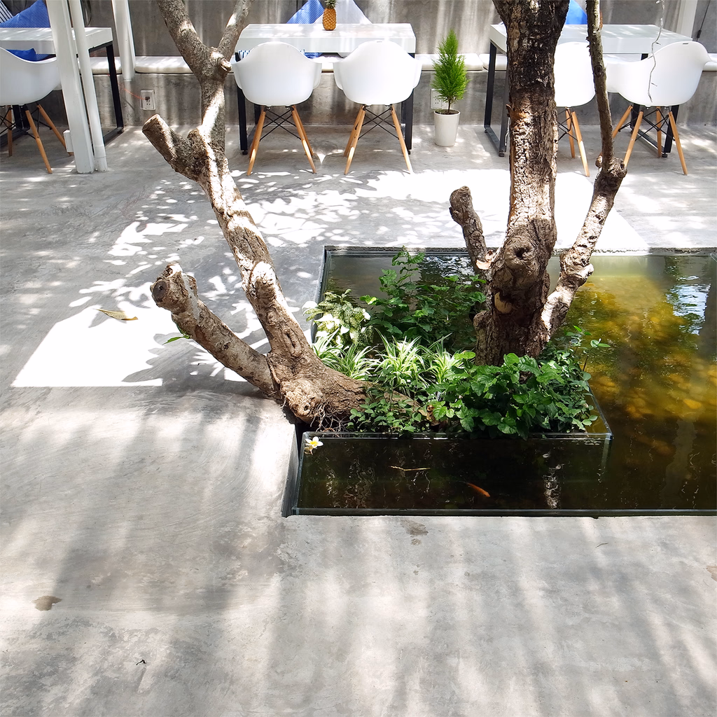 Le cafe de la mer — image 12