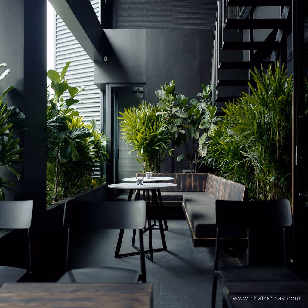 Luffy cafe — image 3