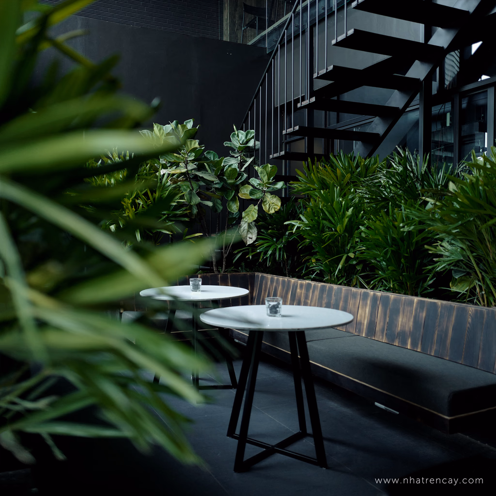Luffy cafe — image 9