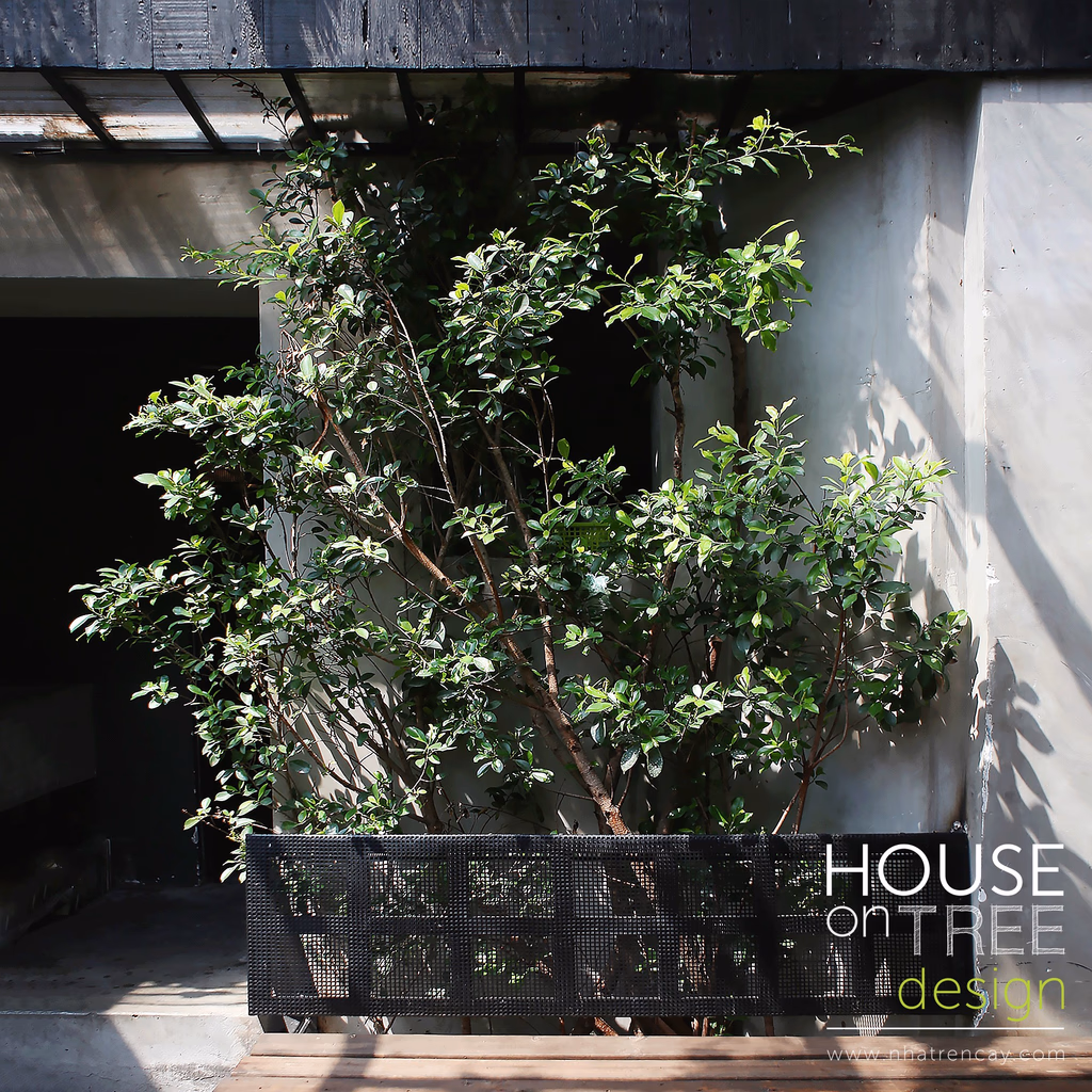 Nomad cafe — image 4
