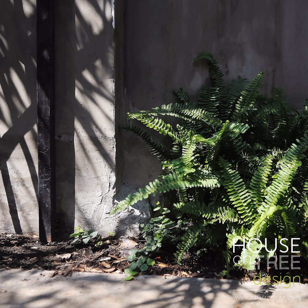 Nomad cafe — image 23