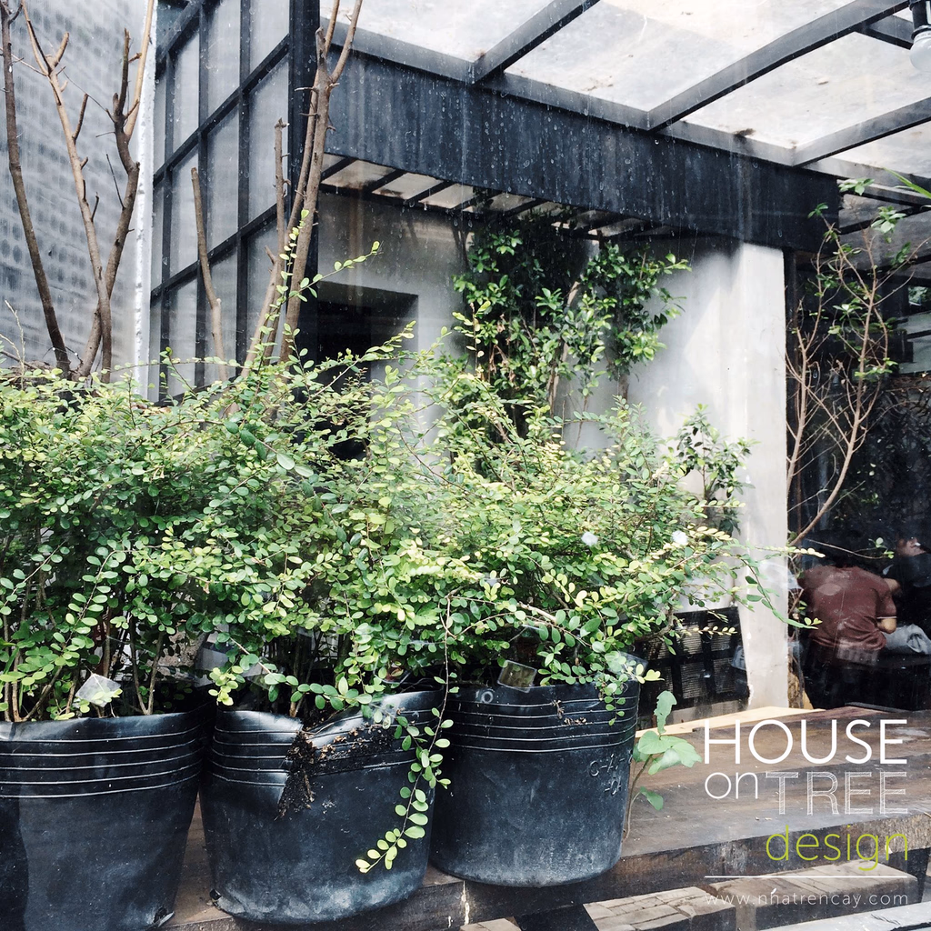 Nomad cafe — image 26