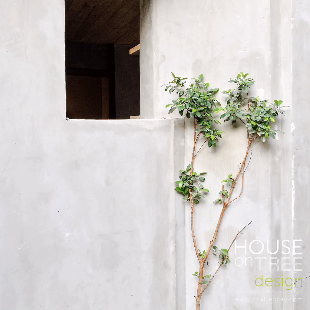 Nomad cafe — image 27