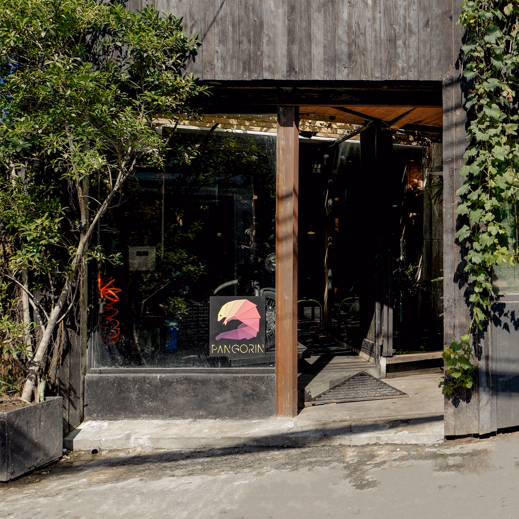 Pangorin — image 7