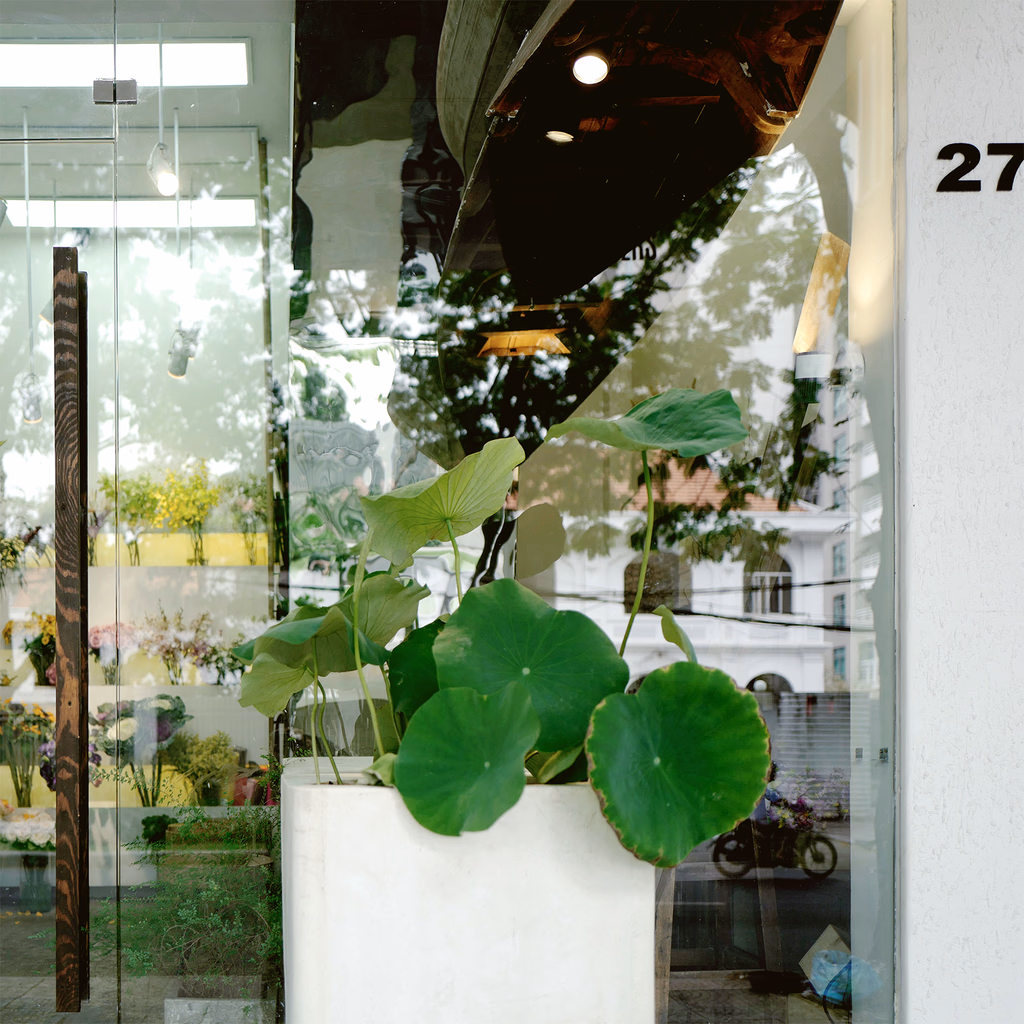 Sen Flower — image 2