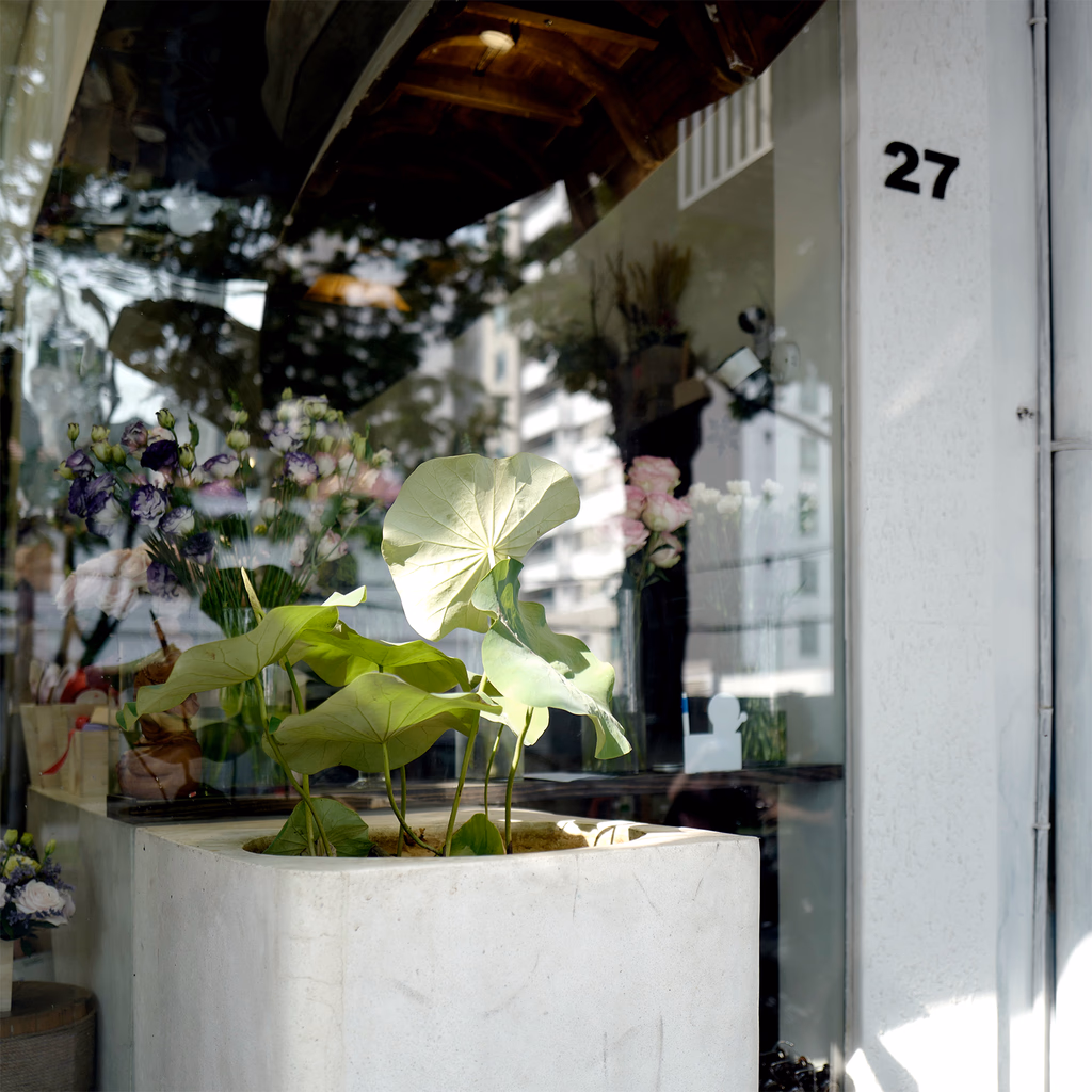 Sen Flower — image 5