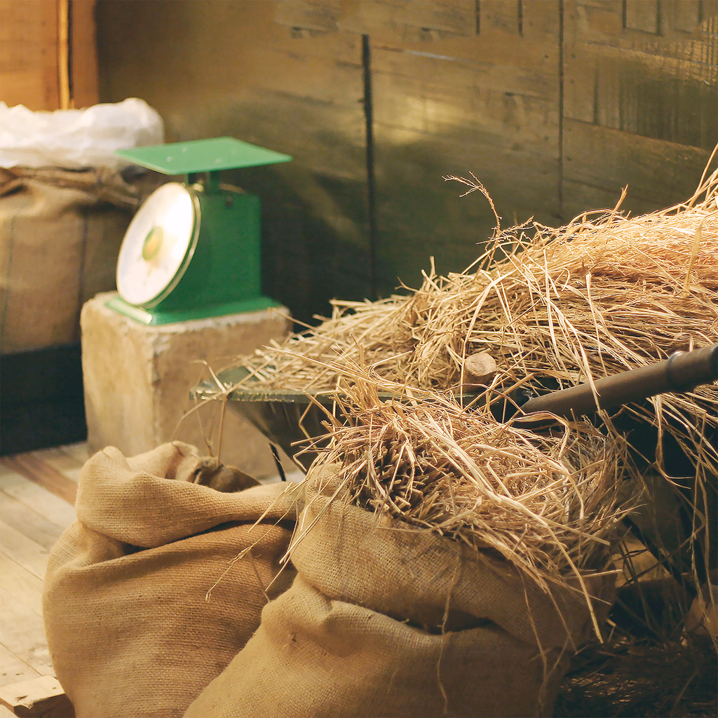 Vietgrains fair booth — image 4