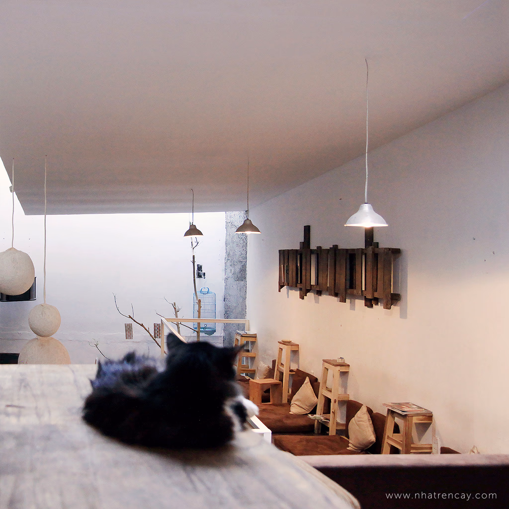 Yen cafe — image 15
